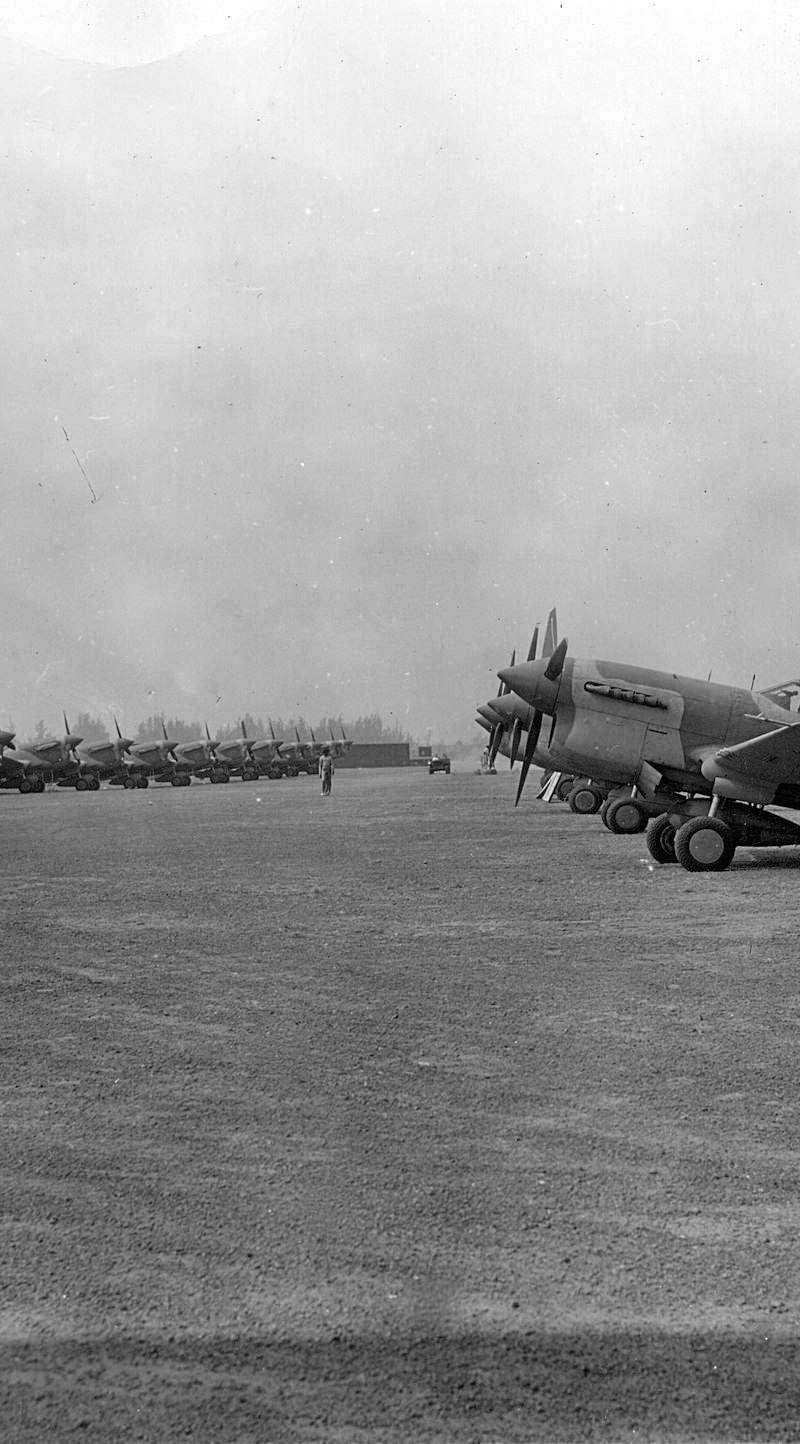  - Warbird