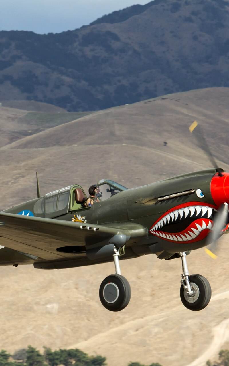  - Warbird