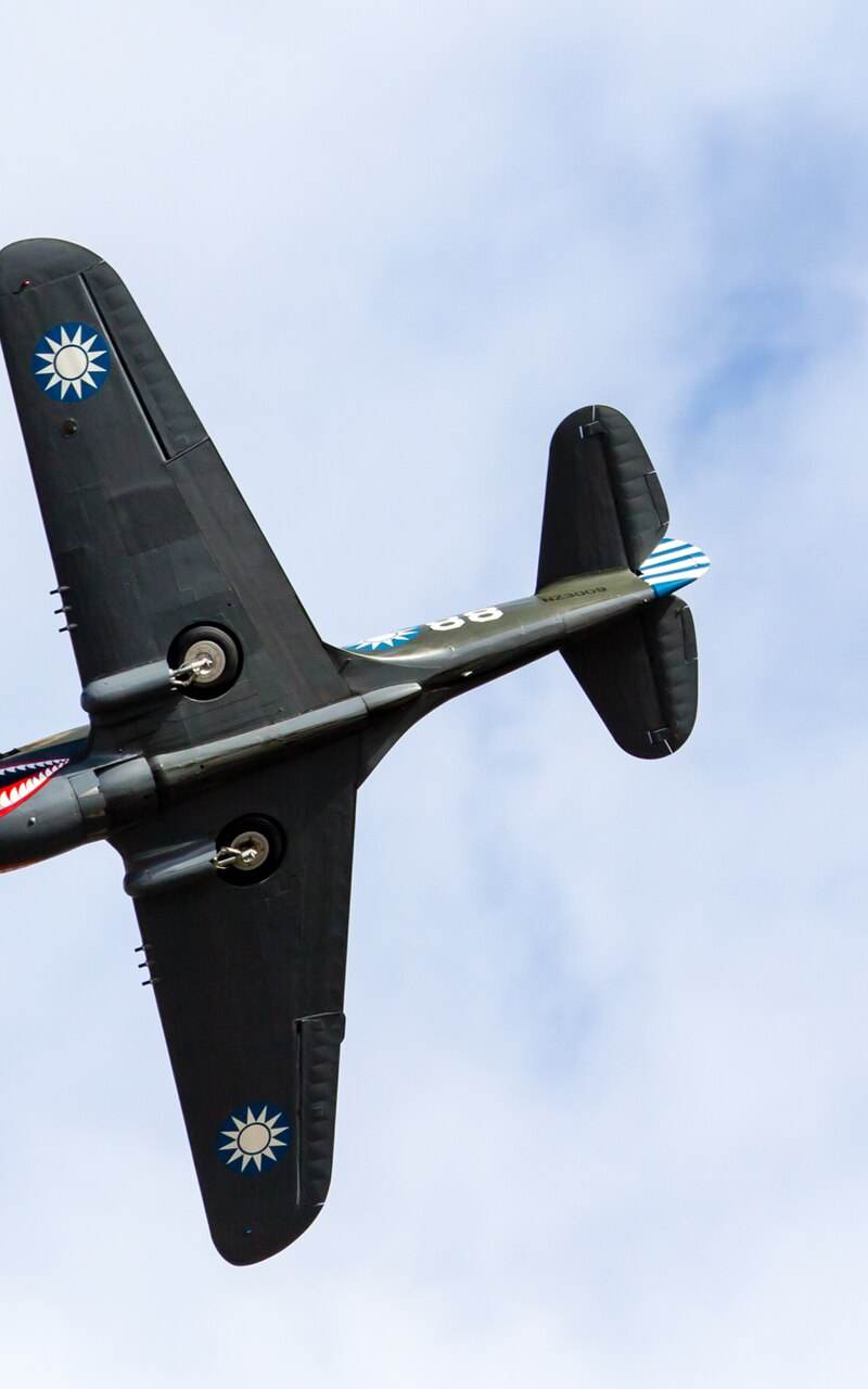  - Warbird