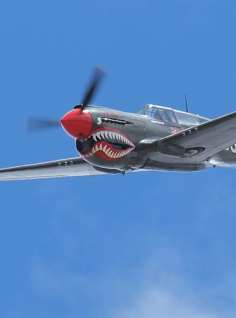  - Warbird