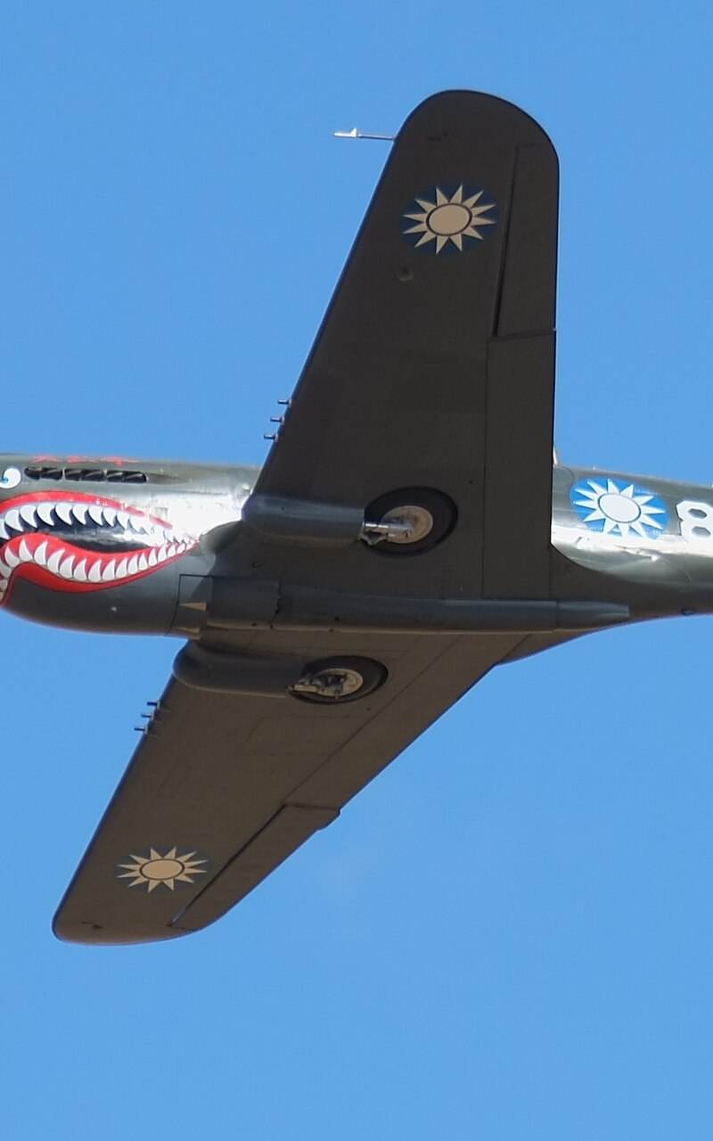  - Warbird
