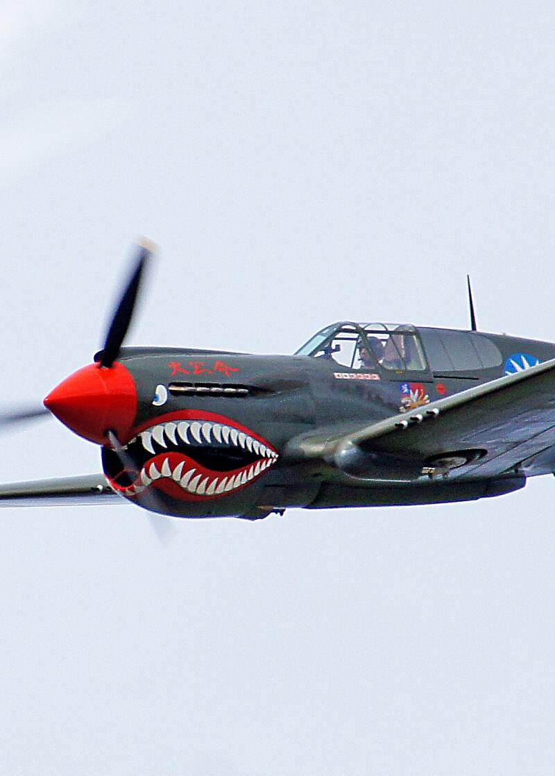  - Warbird