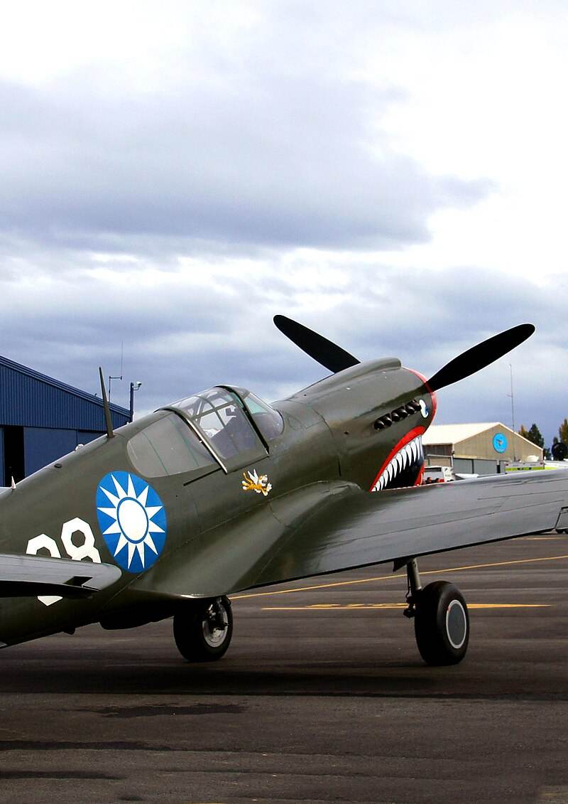  - Single-engine aircraft