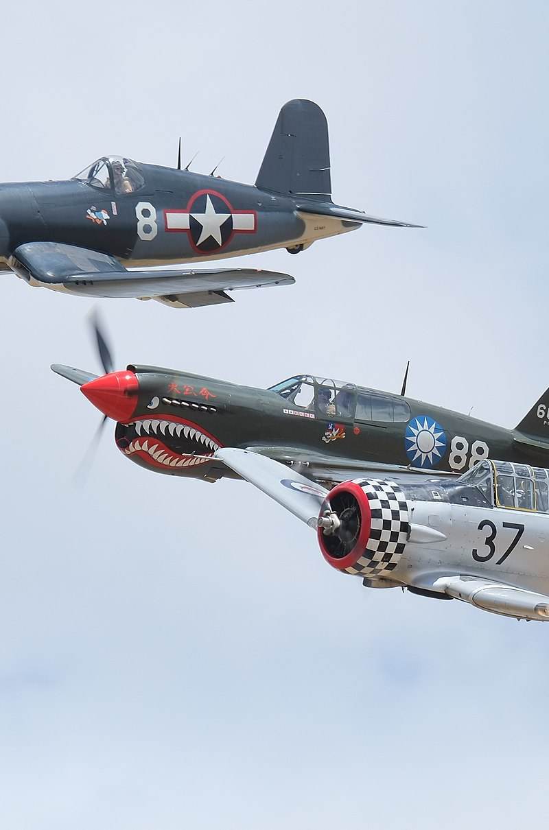  - Warbird