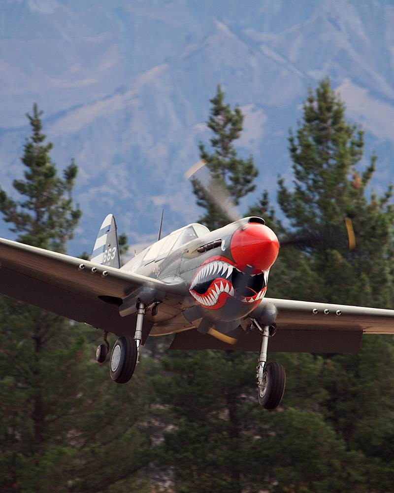  - Warbird