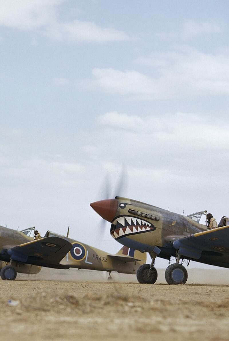  - Warbird