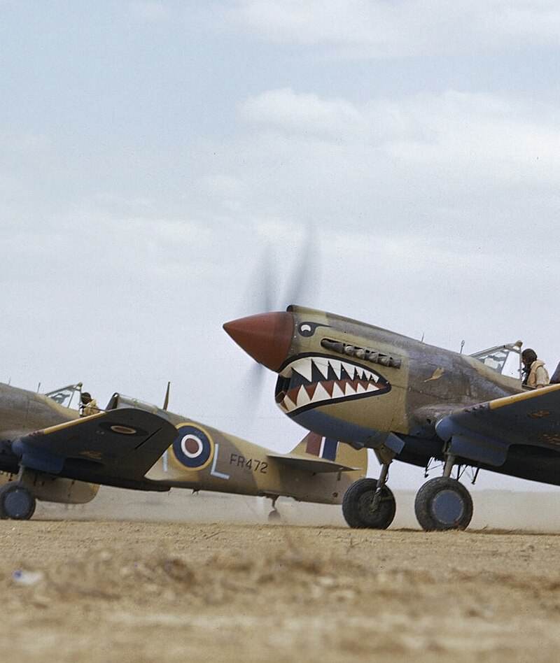  - Warbird