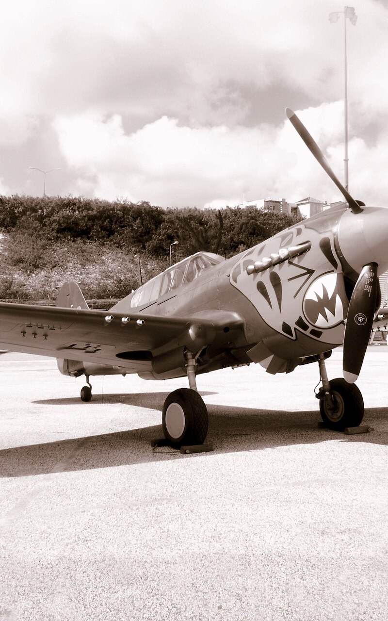 N401WH - Warbird