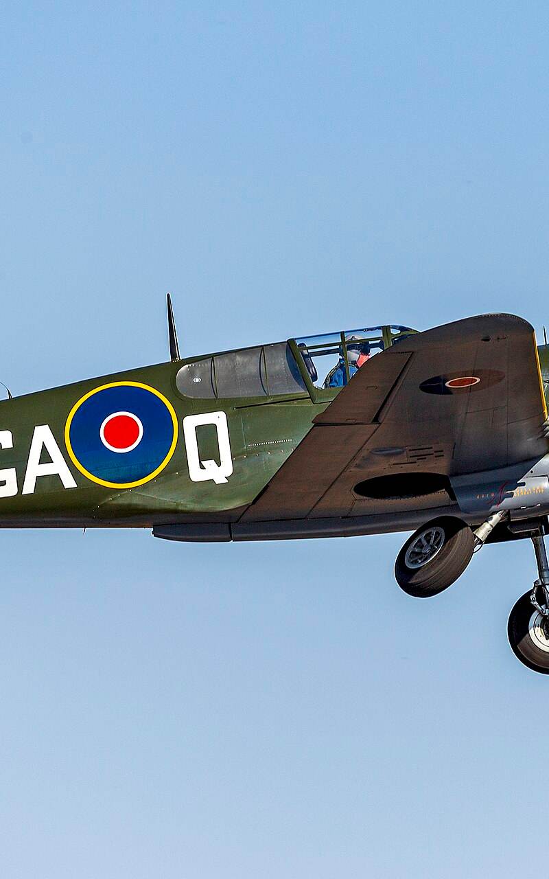  - Warbird