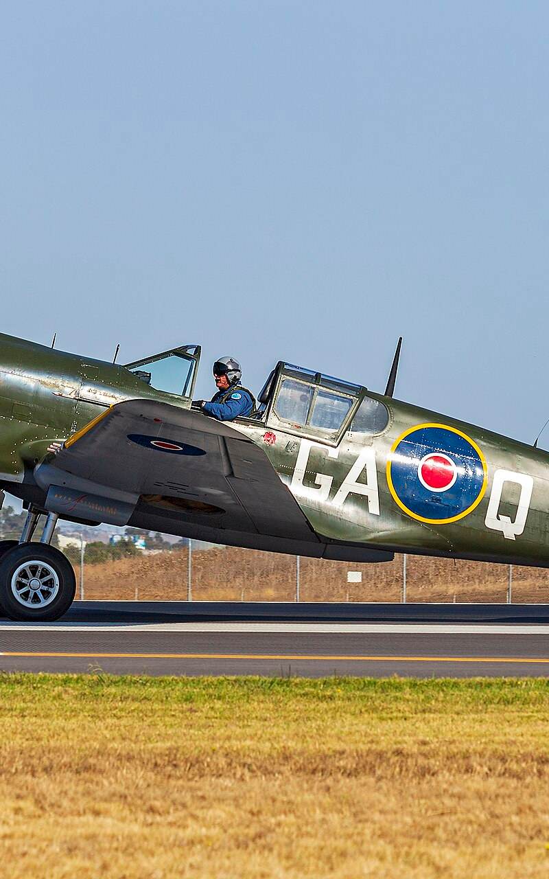  - Warbird