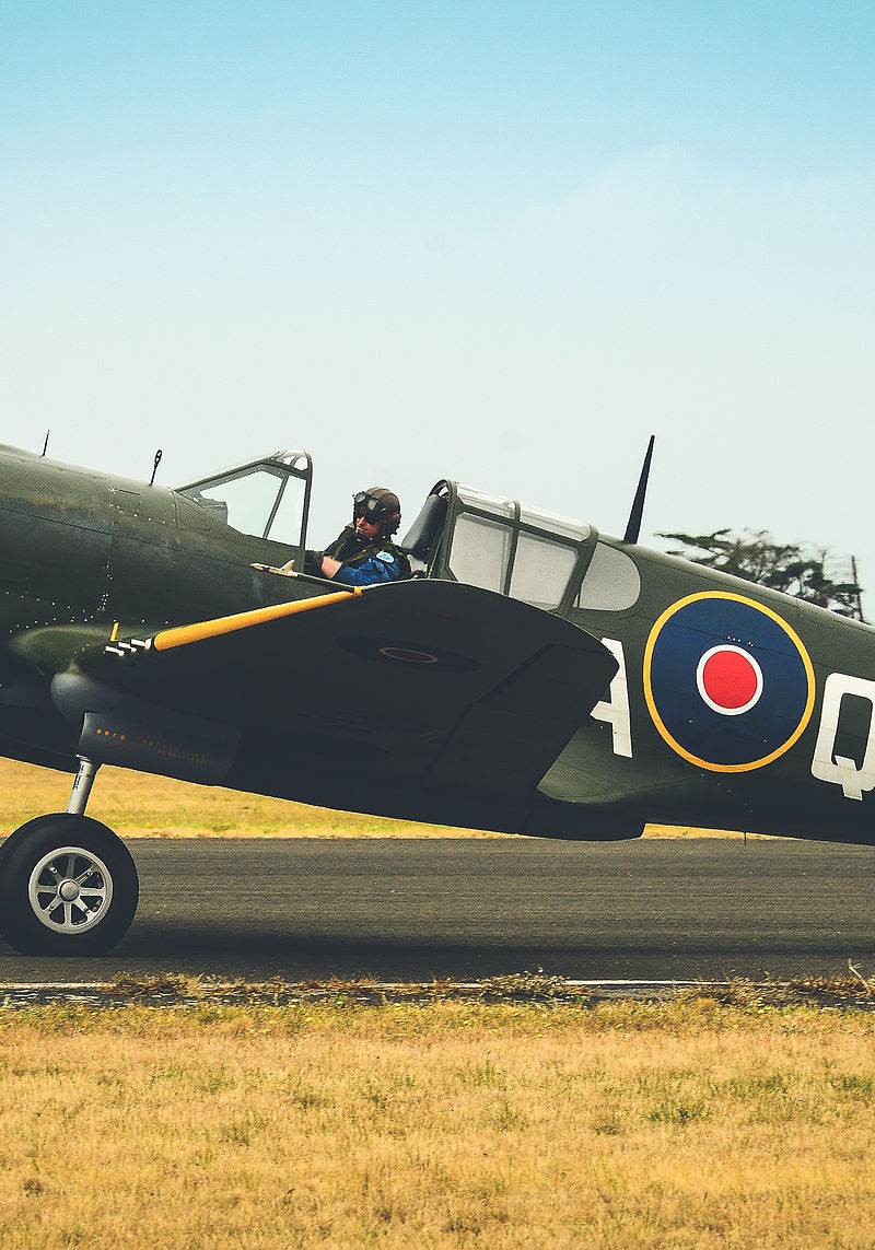  - Warbird