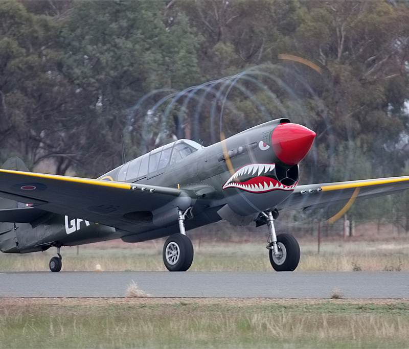  - Warbird