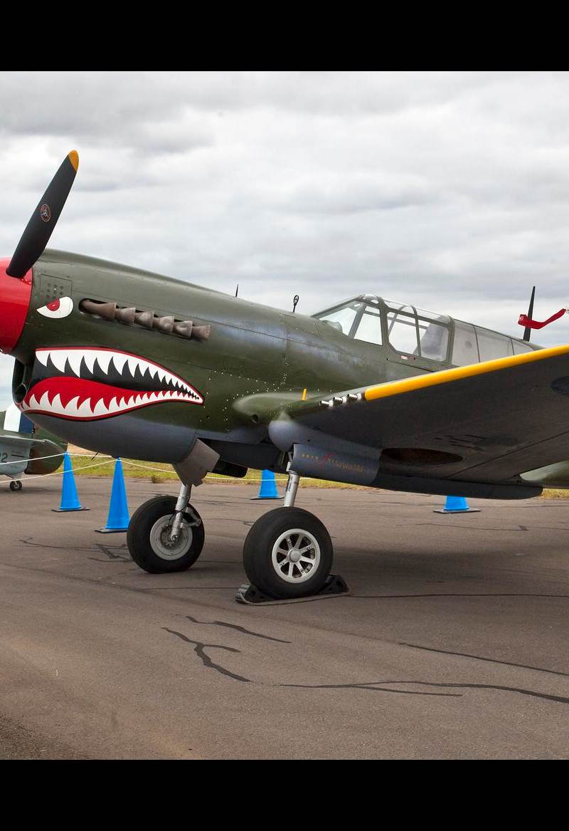  - Warbird