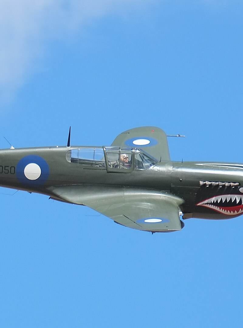  - Warbird