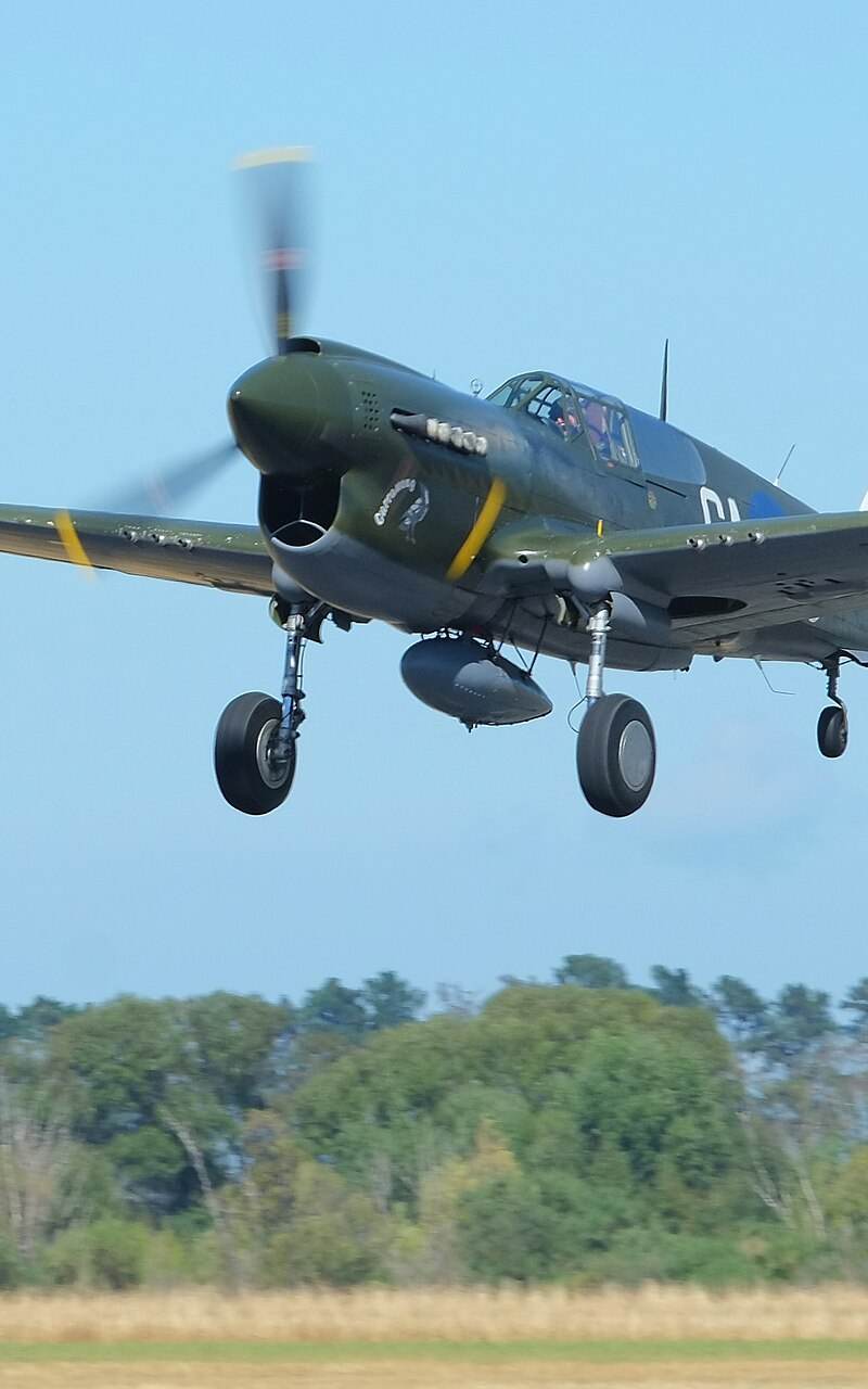  - Warbird