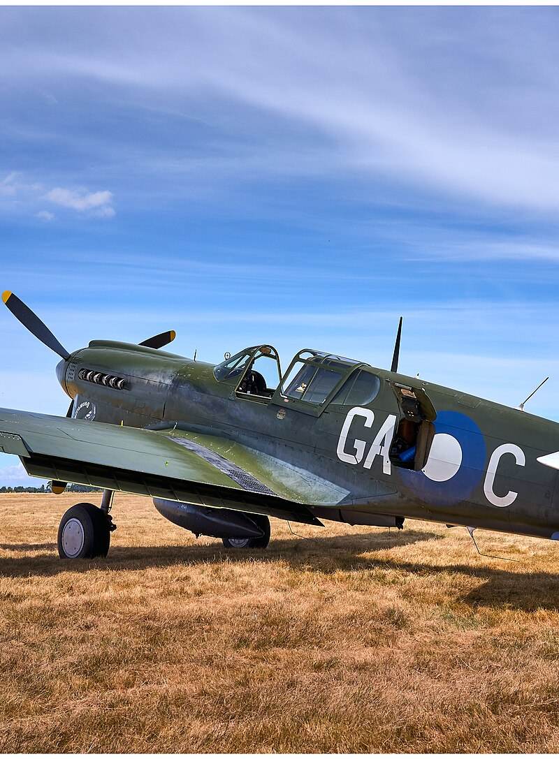  - Warbird