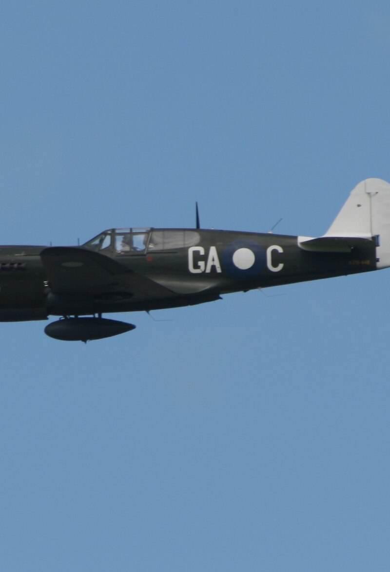  - Warbird