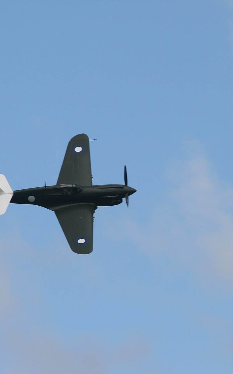  - Warbird
