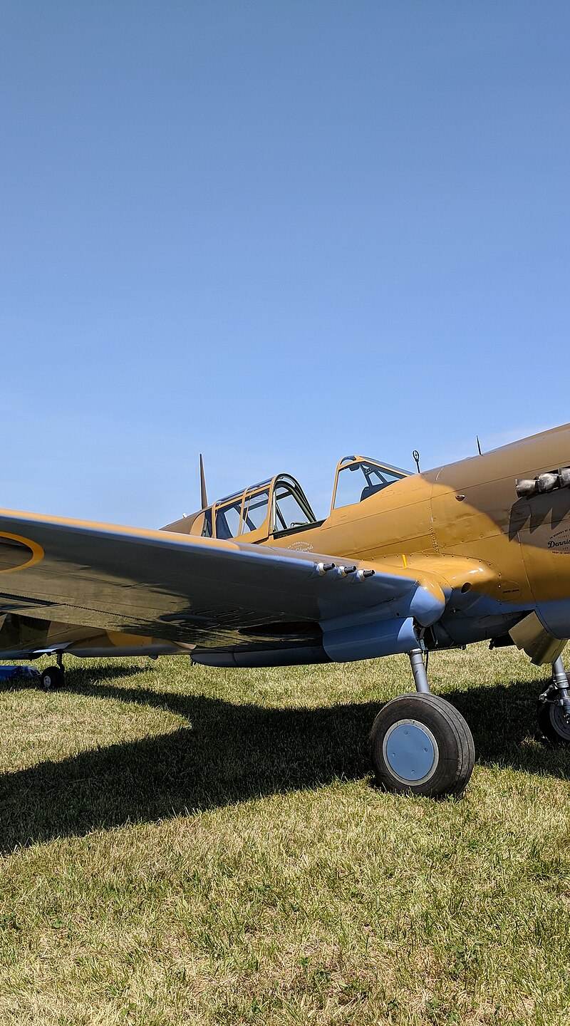  - Warbird