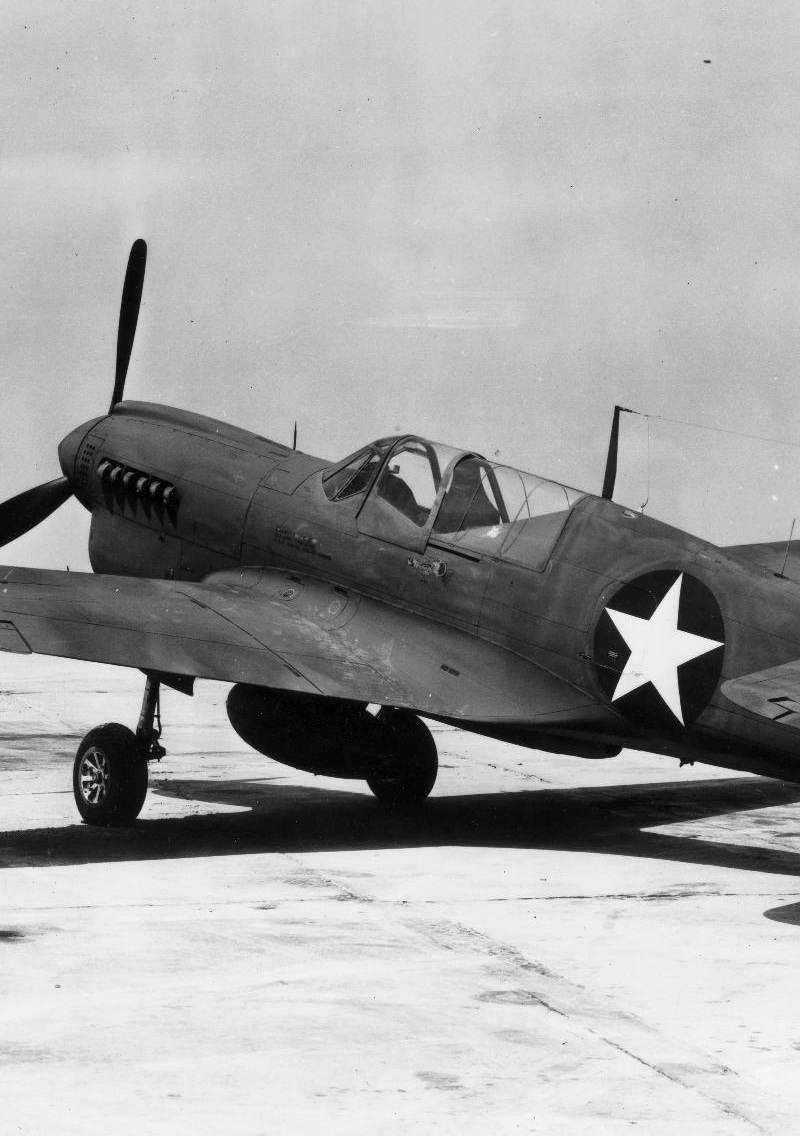  - Warbird