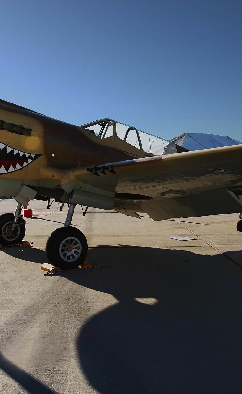  - Warbird