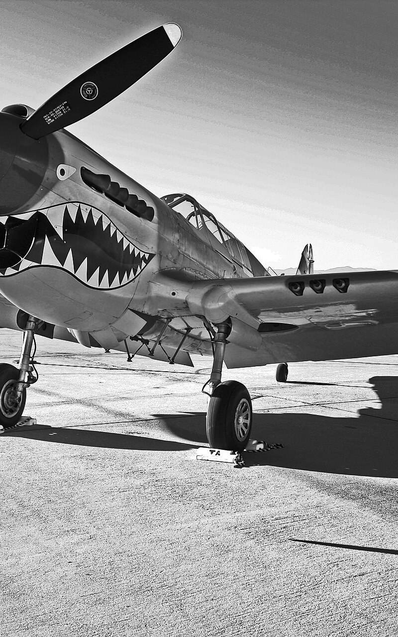  - Warbird