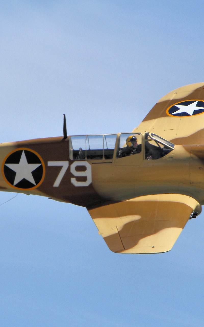  - Warbird