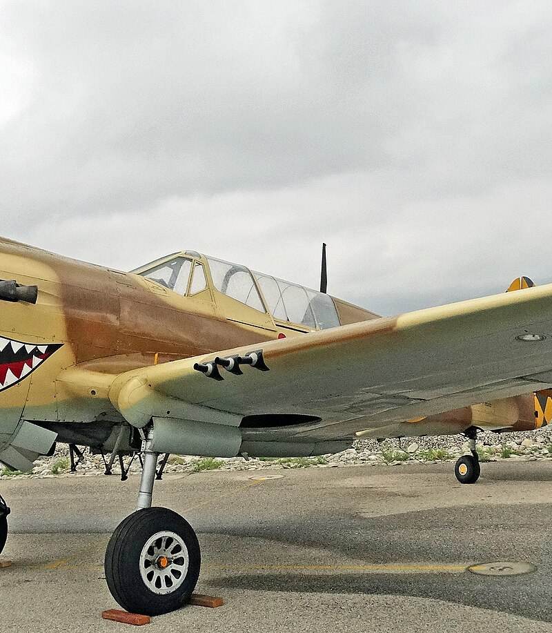  - Warbird