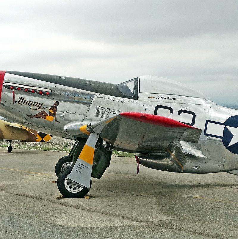  - Warbird