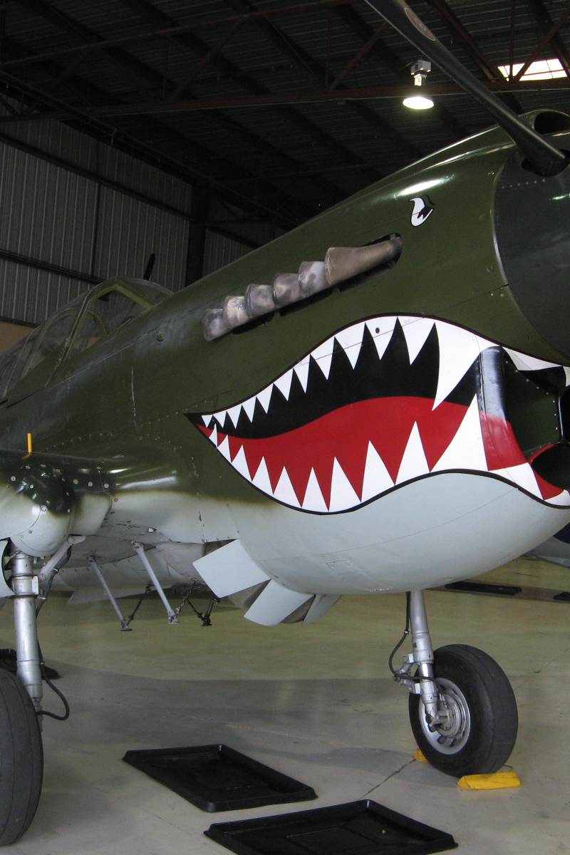  - Warbird