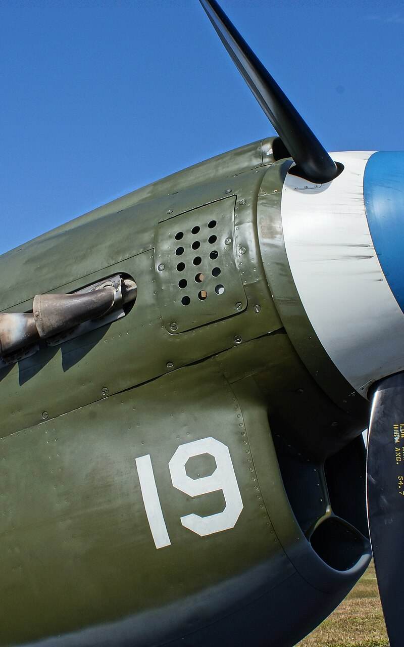  - Warbird