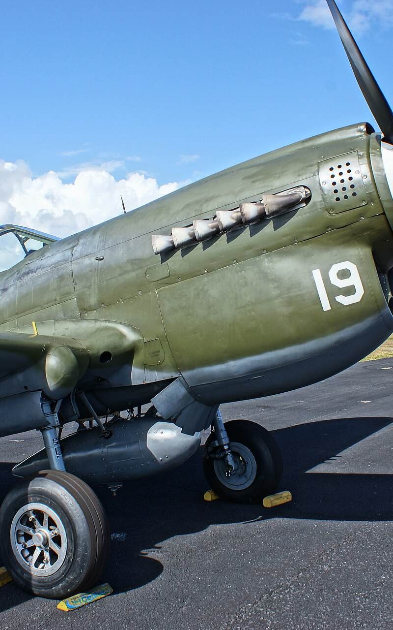  - Warbird