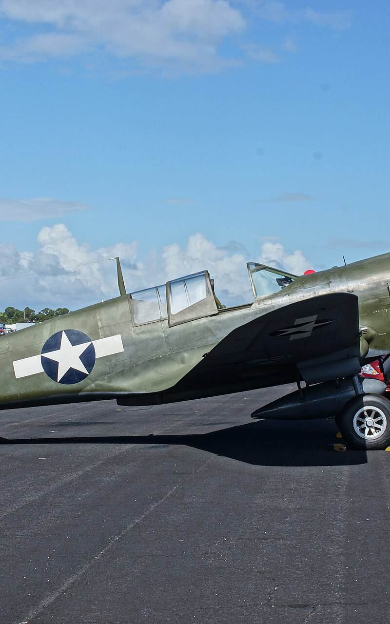  - Warbird