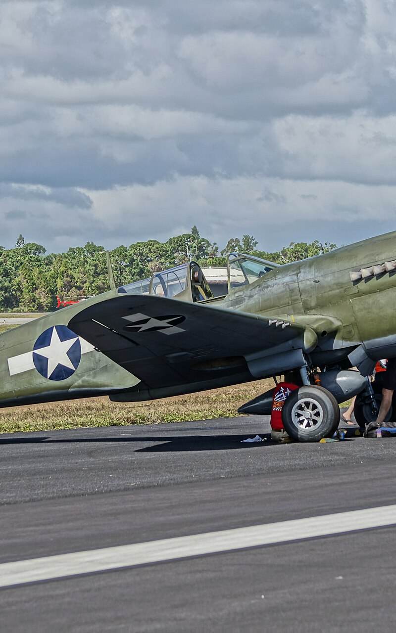  - Warbird