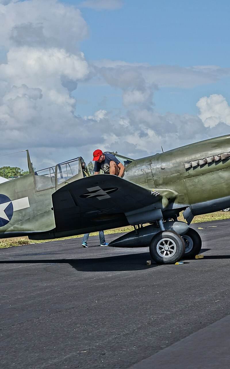  - Warbird