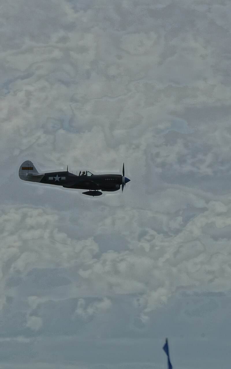  - Warbird