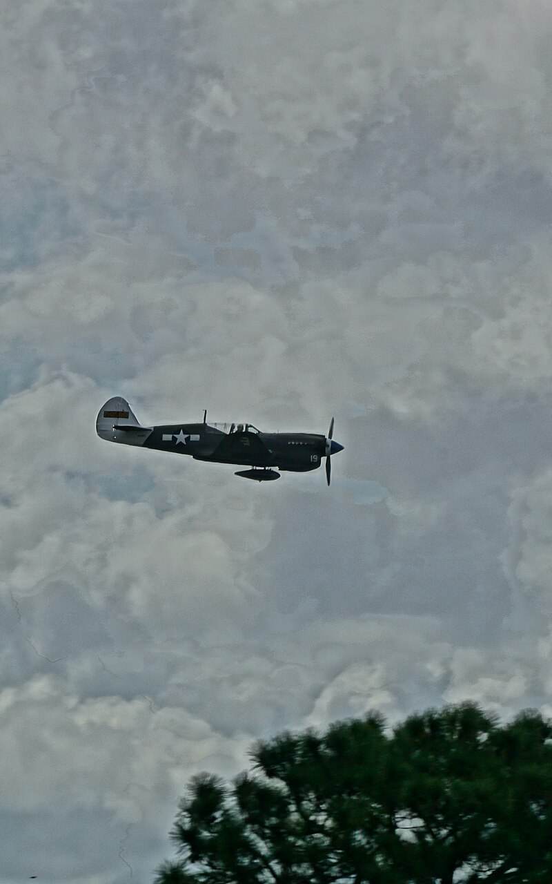  - Warbird