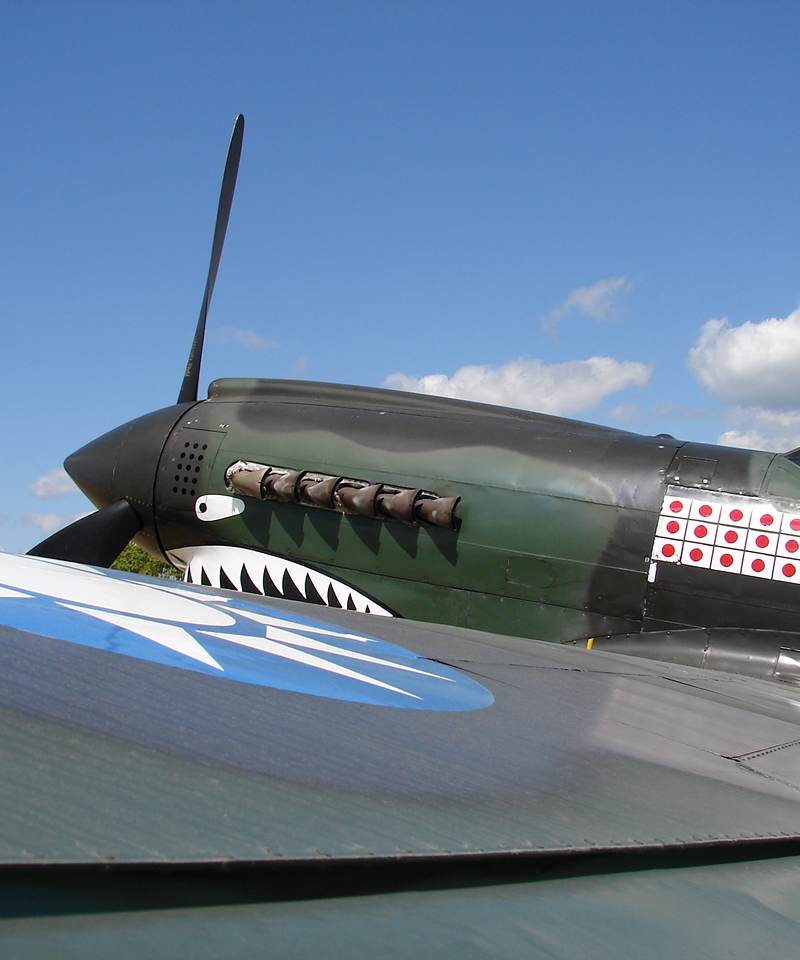 N1226N - Warbird