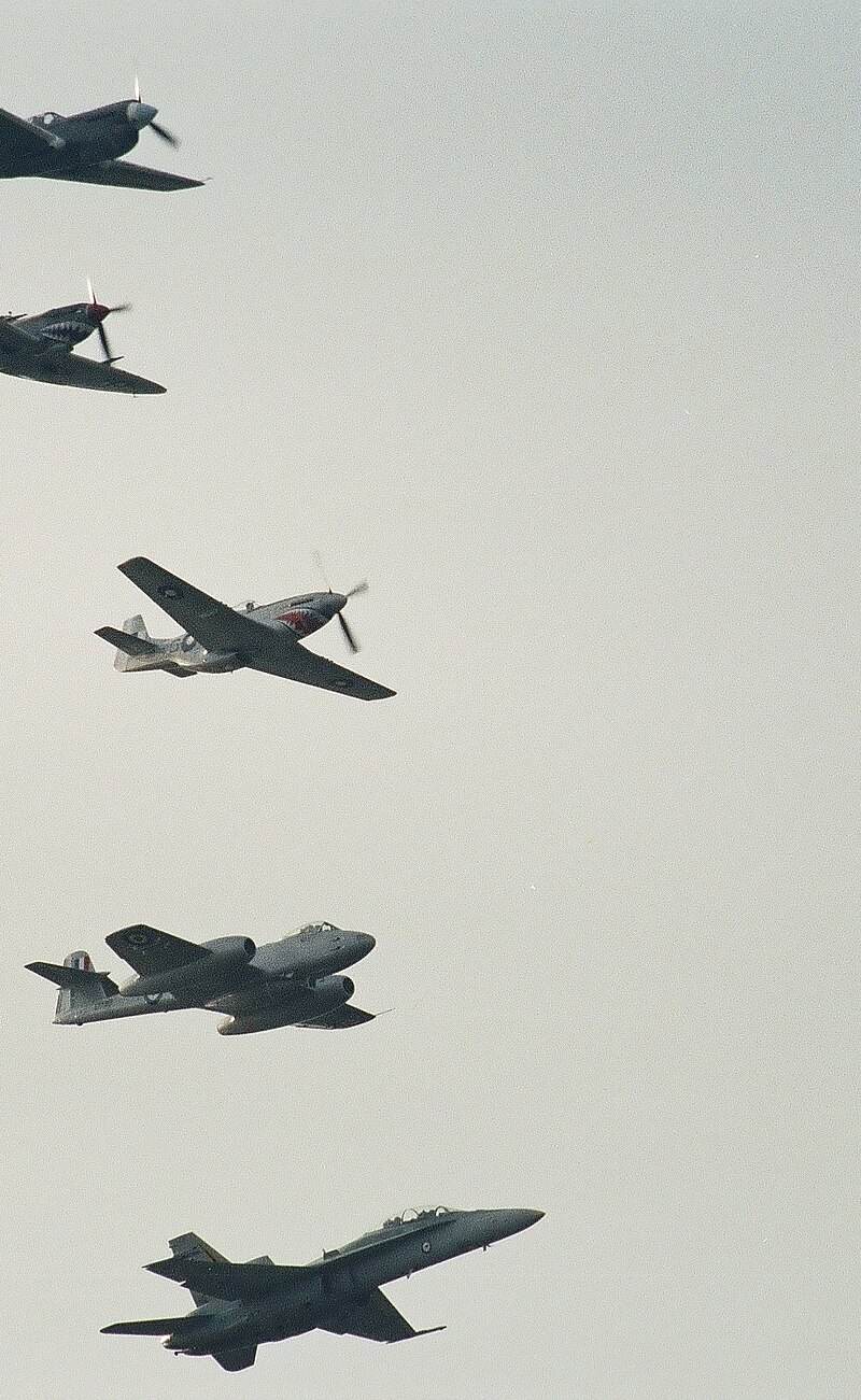  - Warbird