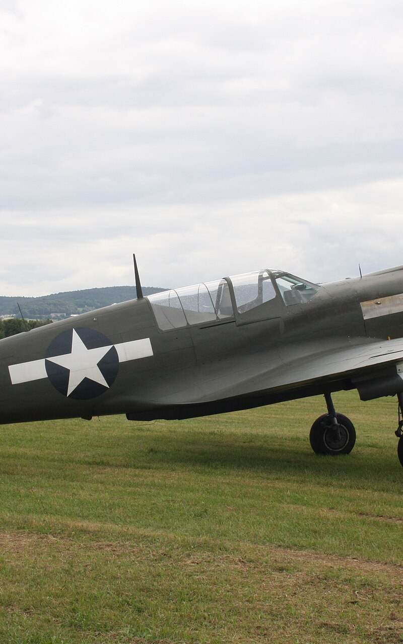  - Warbird