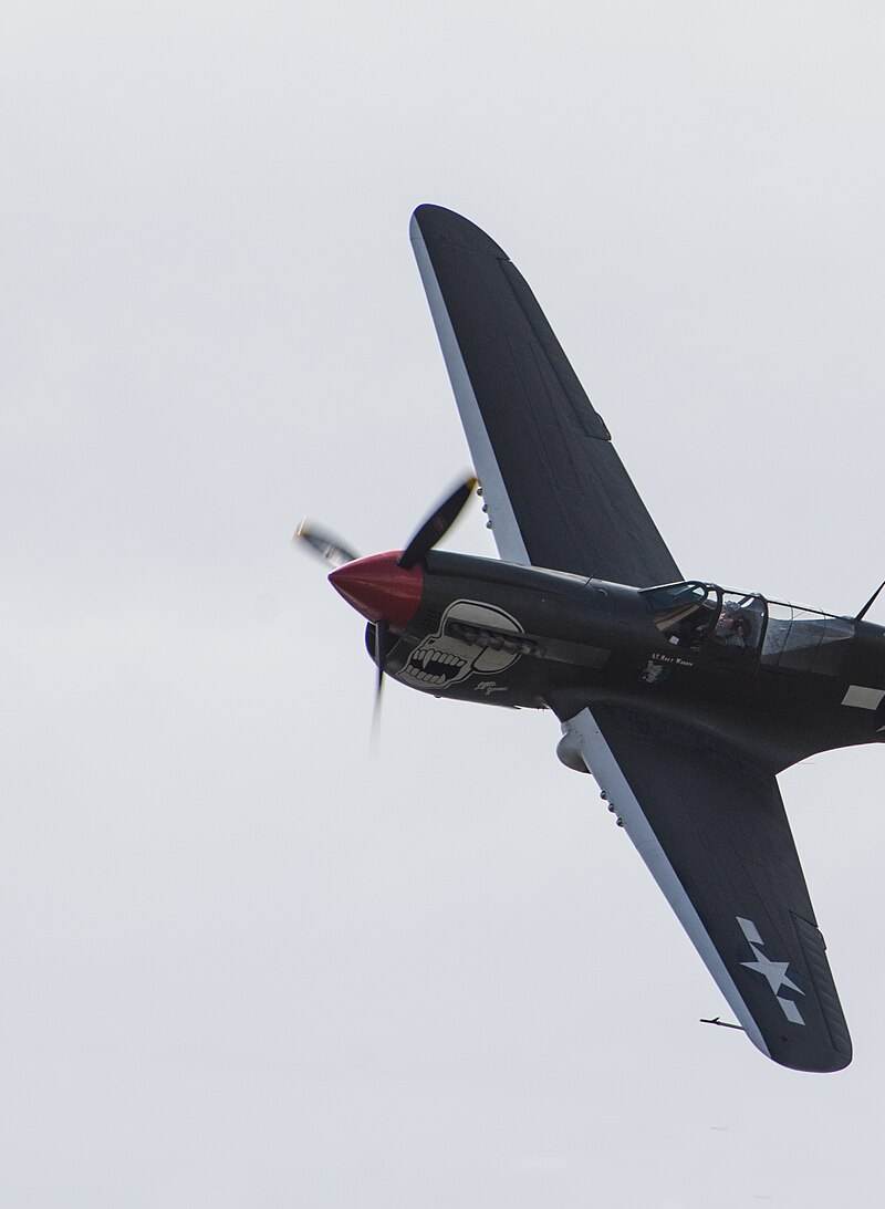  - Warbird