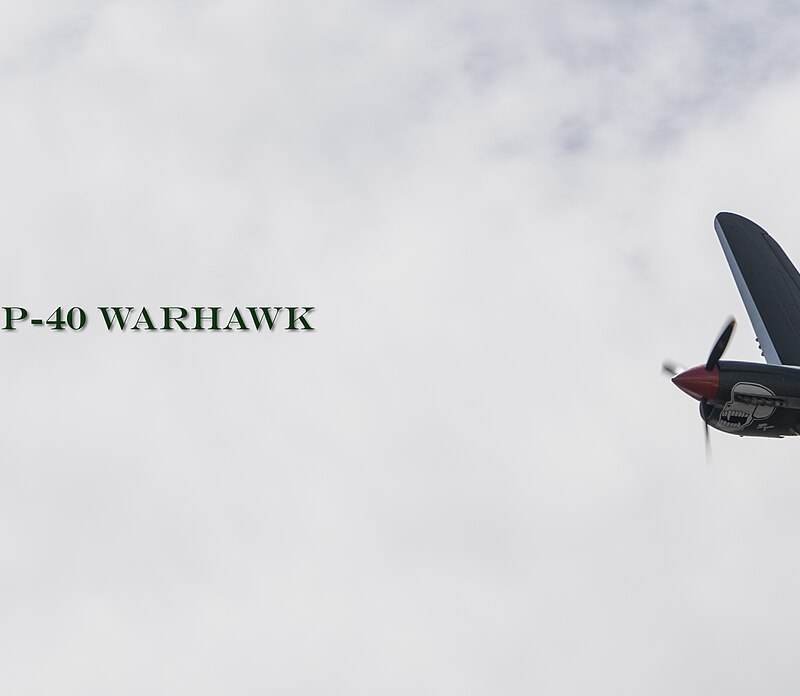 - Warbird
