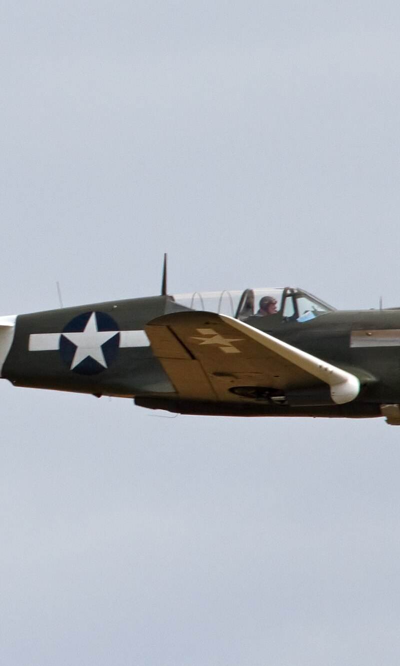  - Warbird