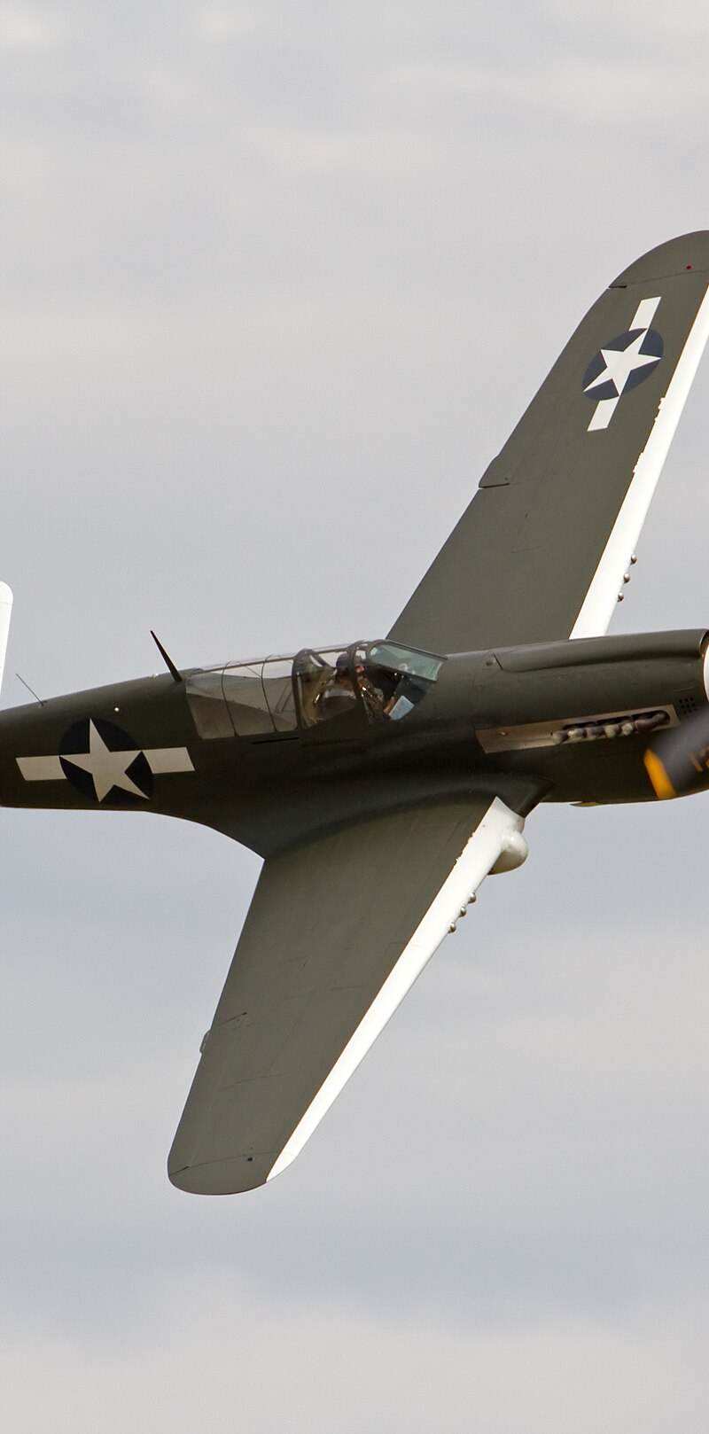  - Warbird