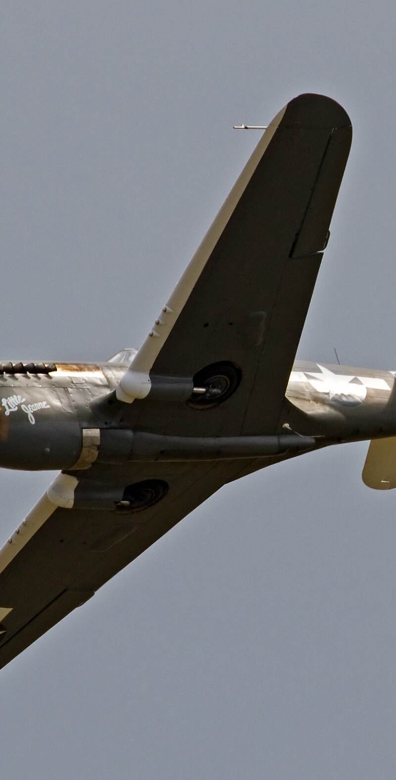  - Warbird