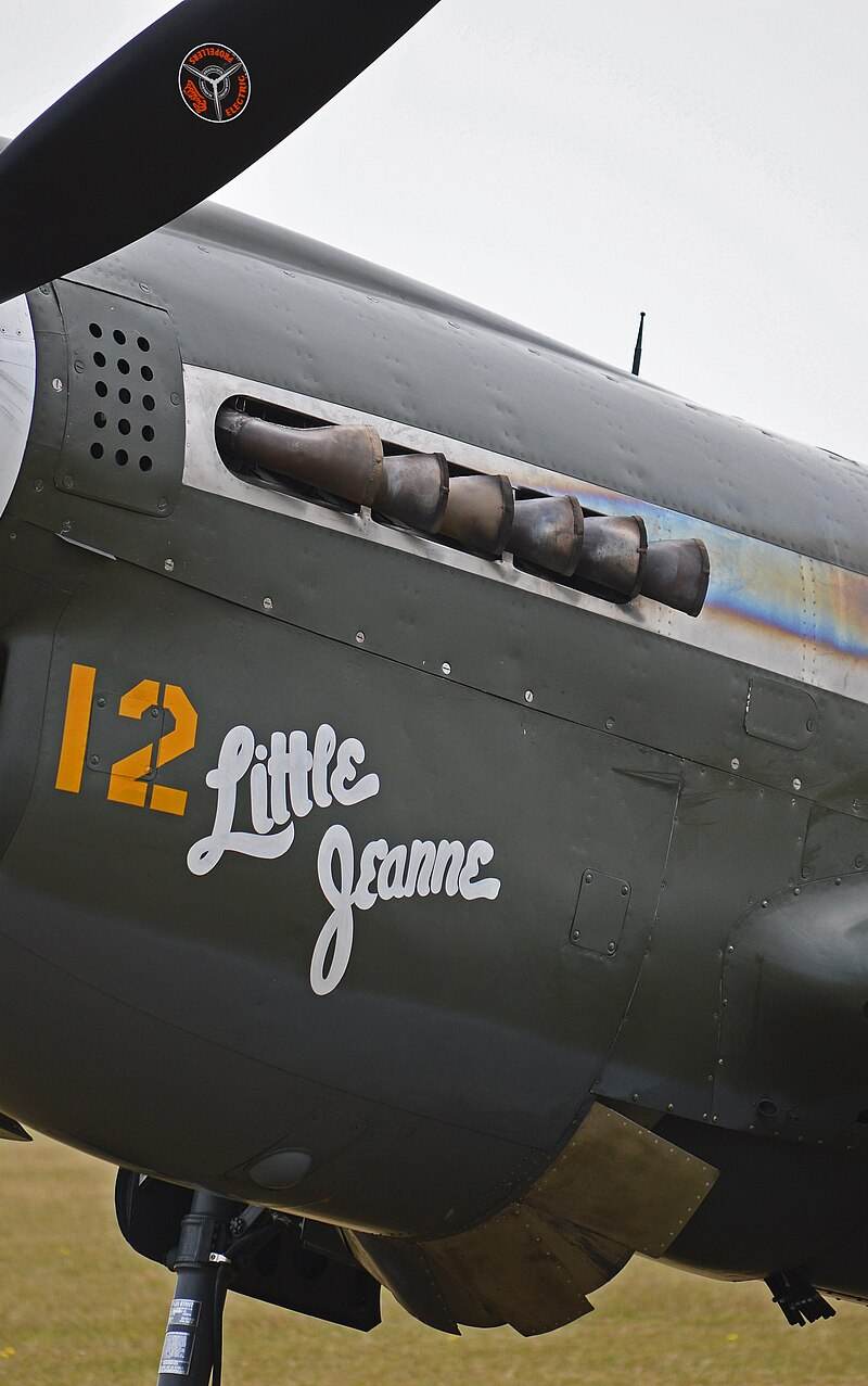  - Warbird