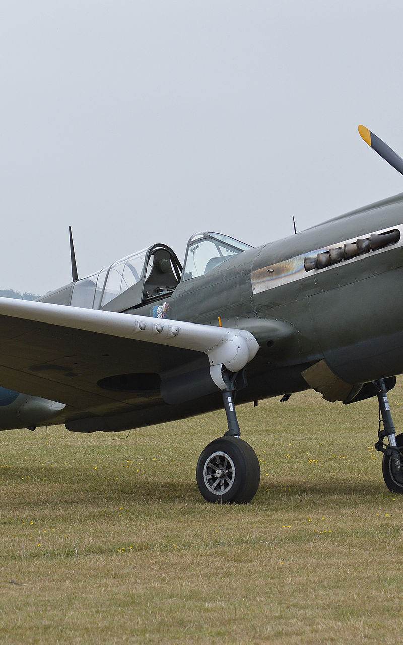  - Warbird