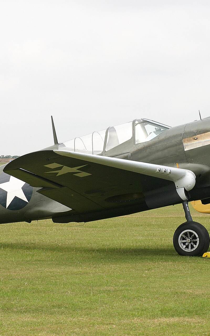  - Warbird