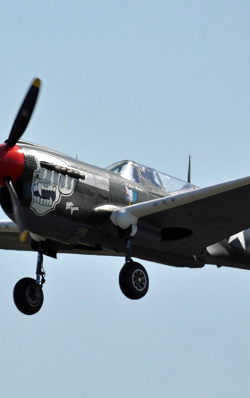  - Warbird