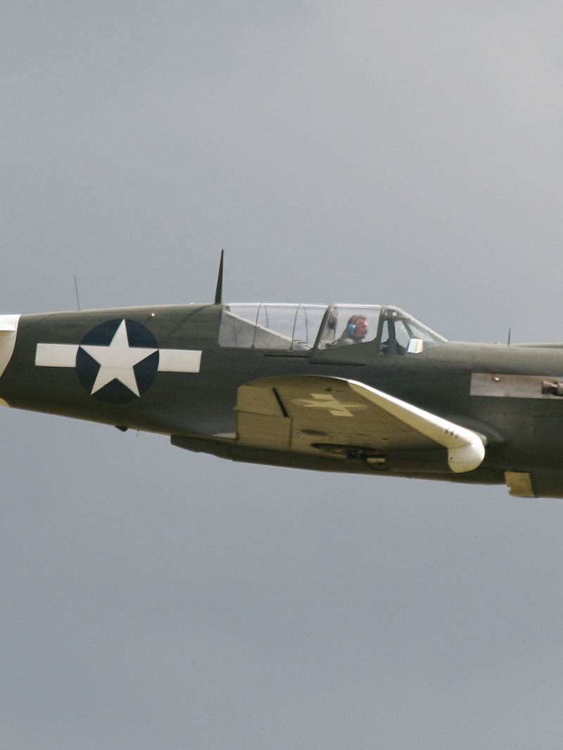  - Warbird